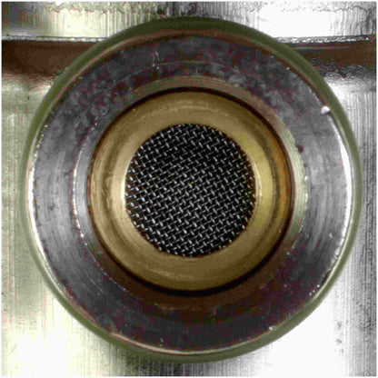 Delphi Fuel Injection Pressure Regulator FP10300