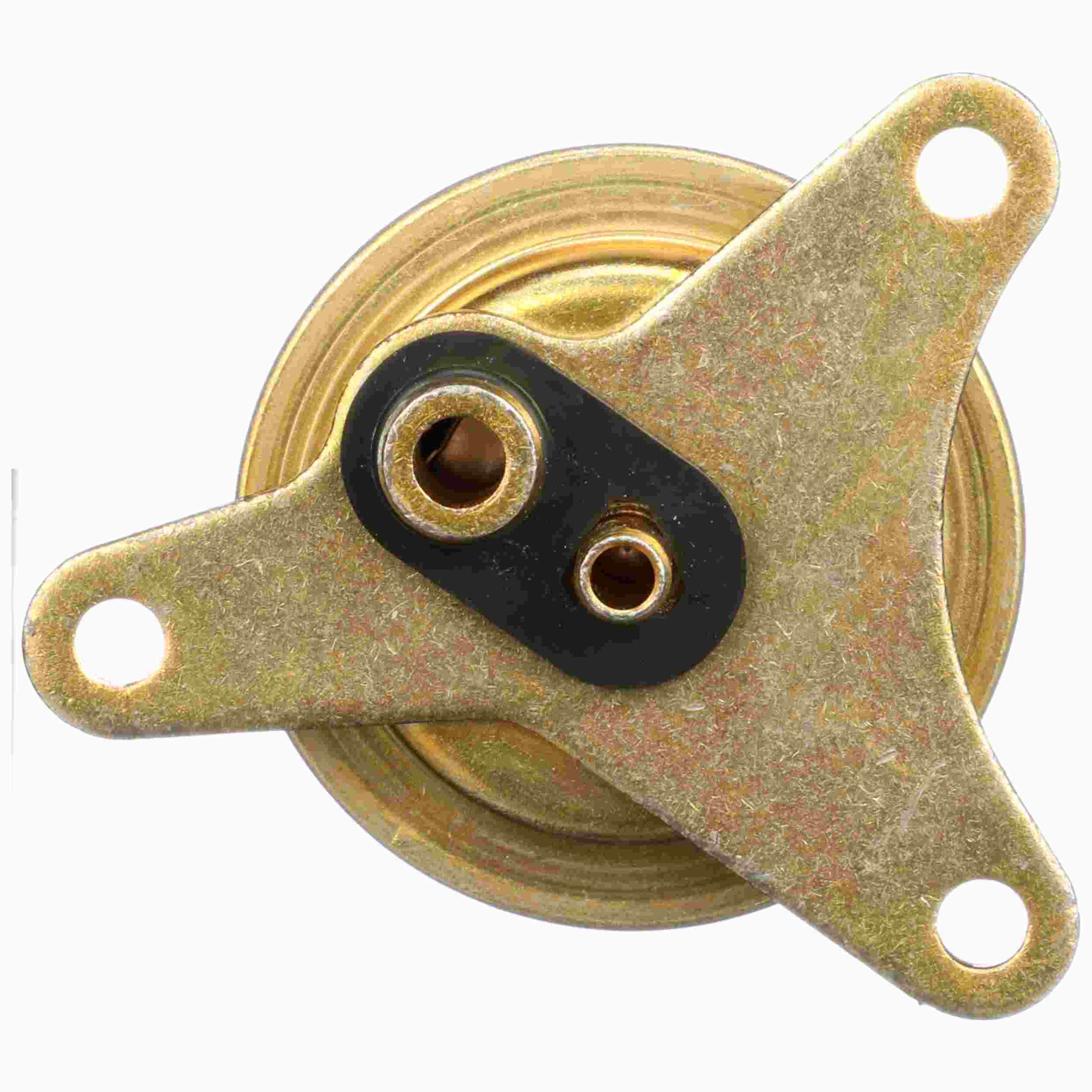 Delphi Fuel Injection Pressure Regulator FP10391