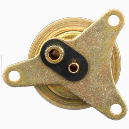 Delphi Fuel Injection Pressure Regulator FP10391