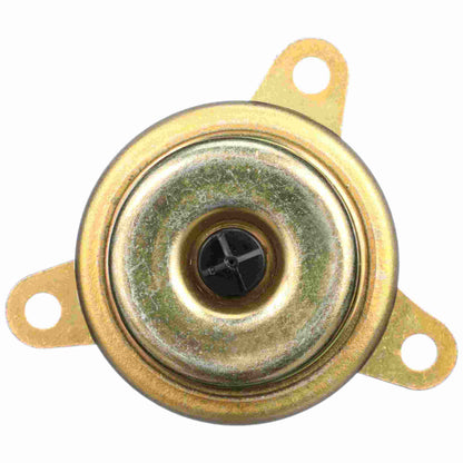 Delphi Fuel Injection Pressure Regulator FP10391