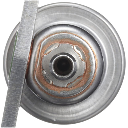 Delphi Fuel Injection Pressure Regulator FP10419