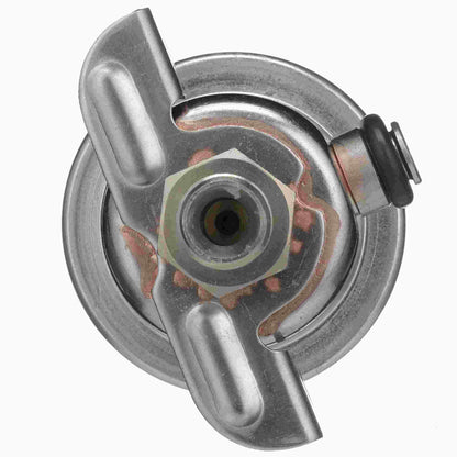 Delphi Fuel Injection Pressure Regulator FP10487
