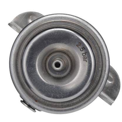 Delphi Fuel Injection Pressure Regulator FP10524