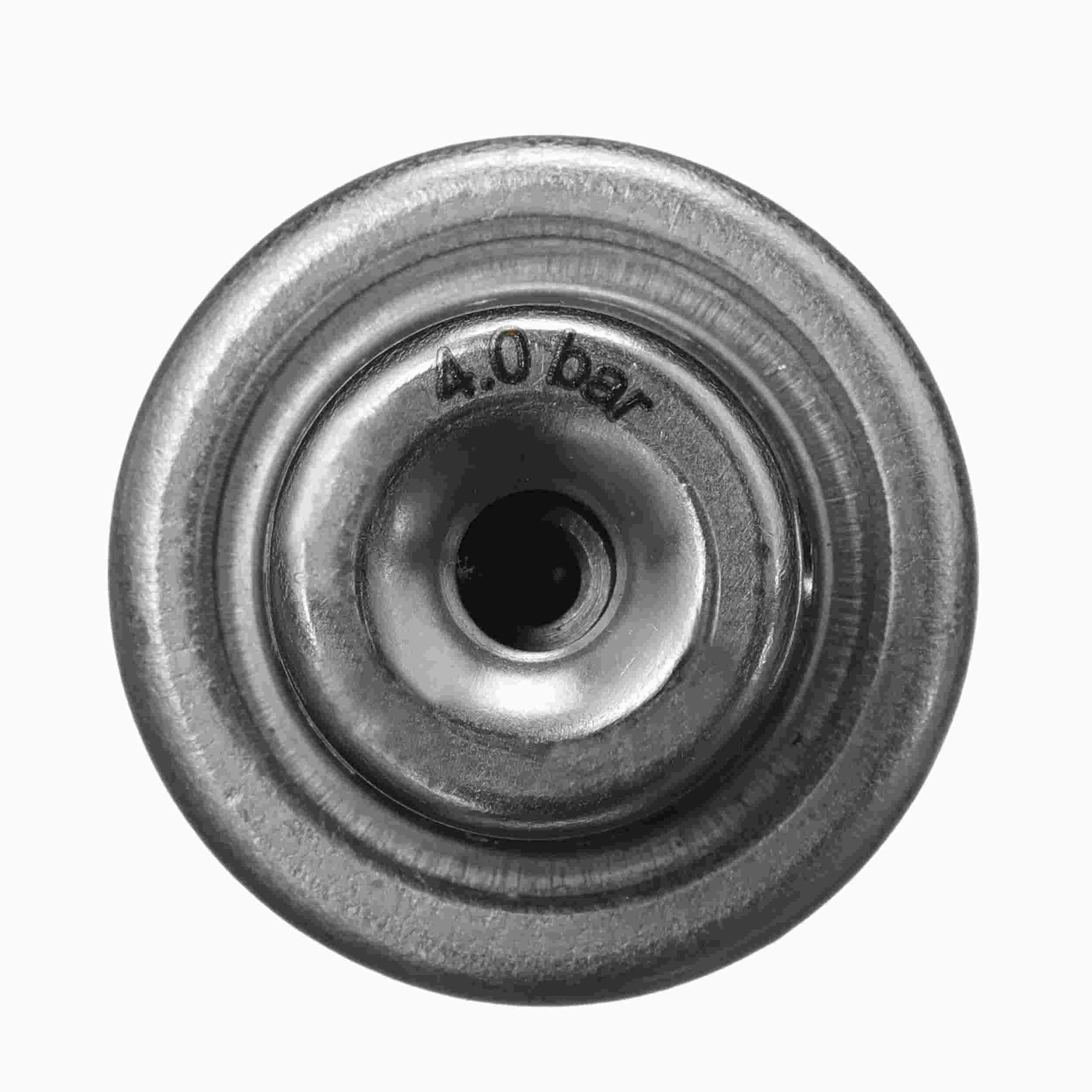 Delphi Fuel Injection Pressure Regulator FP10533