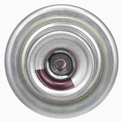 Delphi Fuel Injection Pressure Regulator FP10666