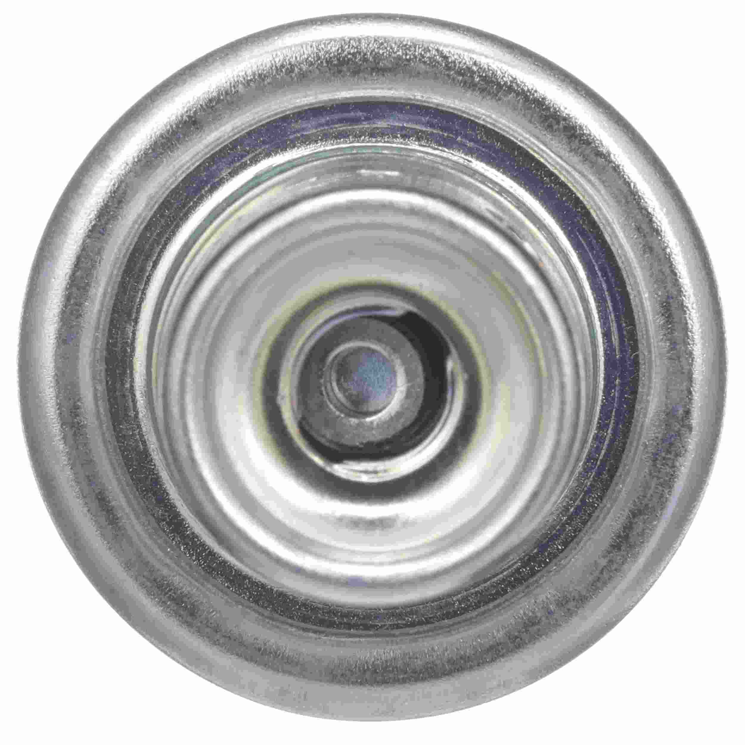 Delphi Fuel Injection Pressure Regulator FP10702