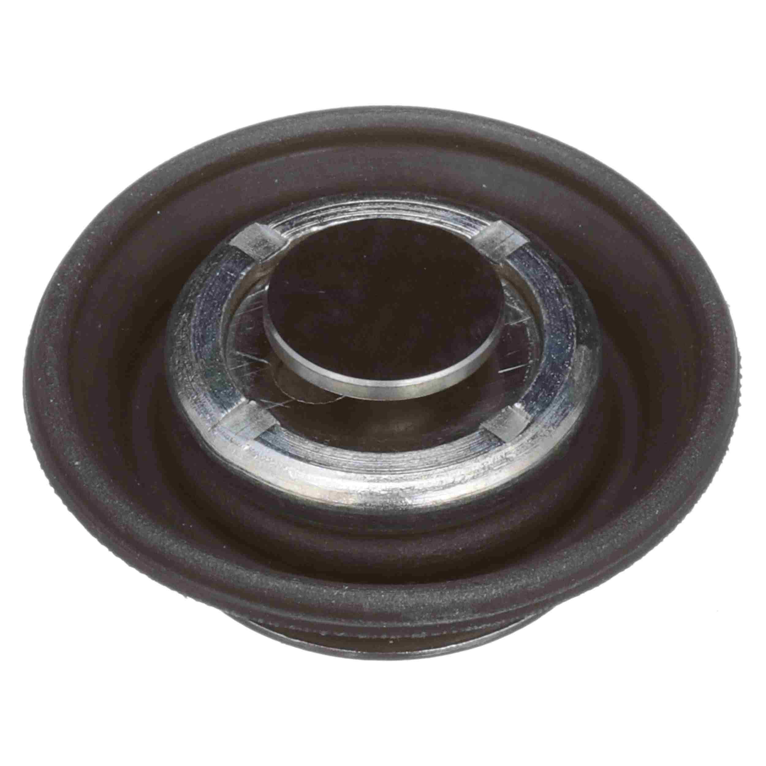 Delphi Fuel Injection Pressure Regulator FP10725