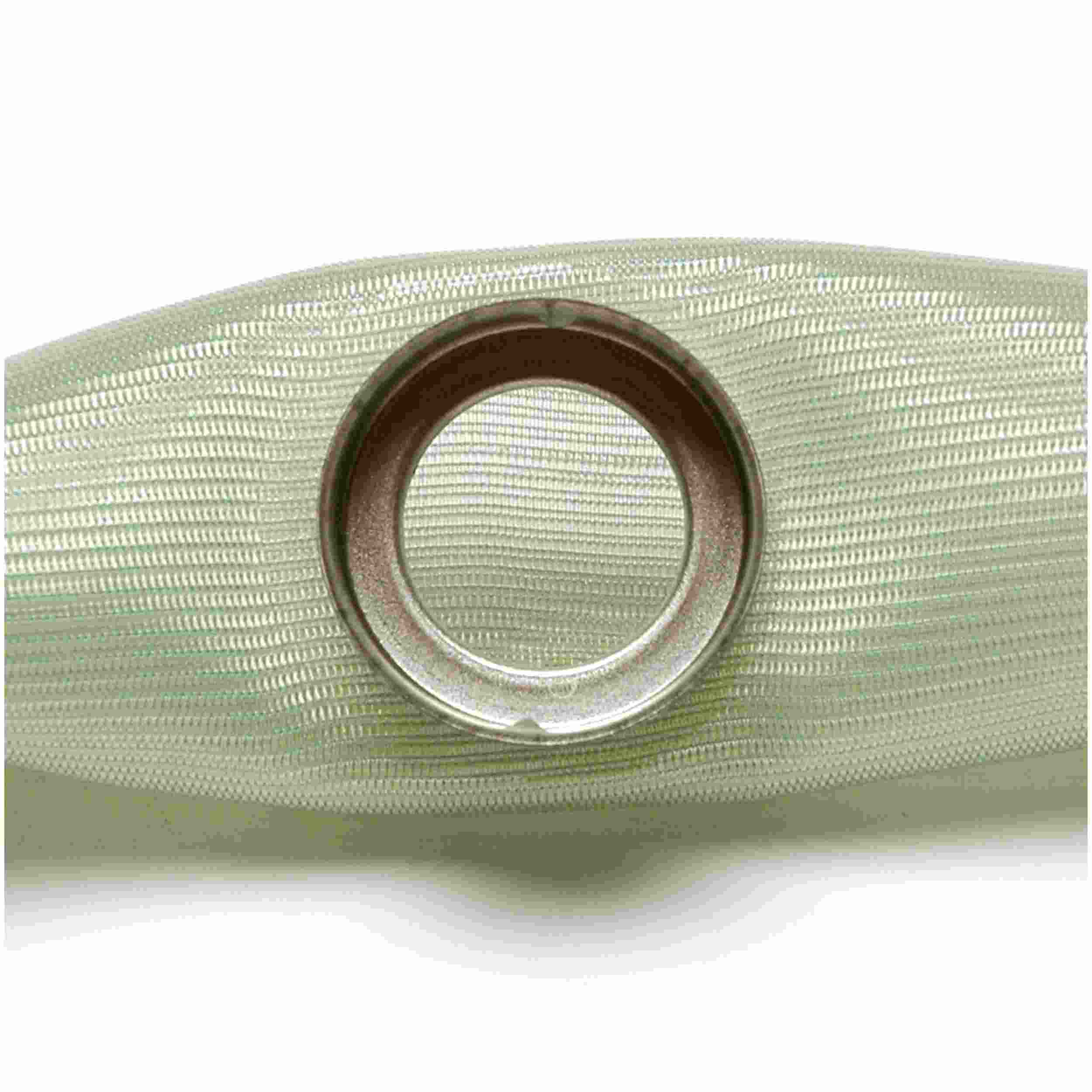 Delphi Fuel Pump Strainer FS0001