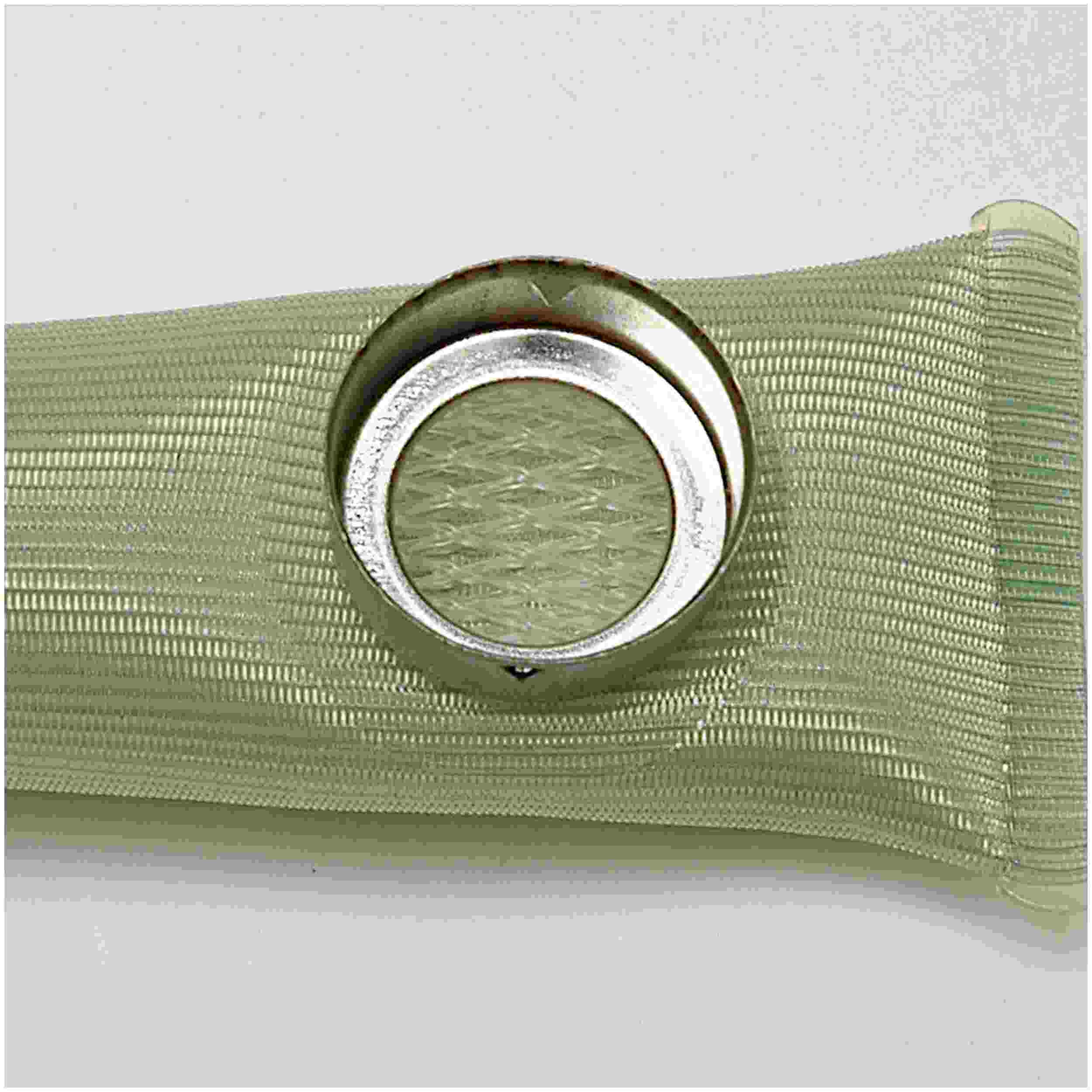 Delphi Fuel Pump Strainer FS0004