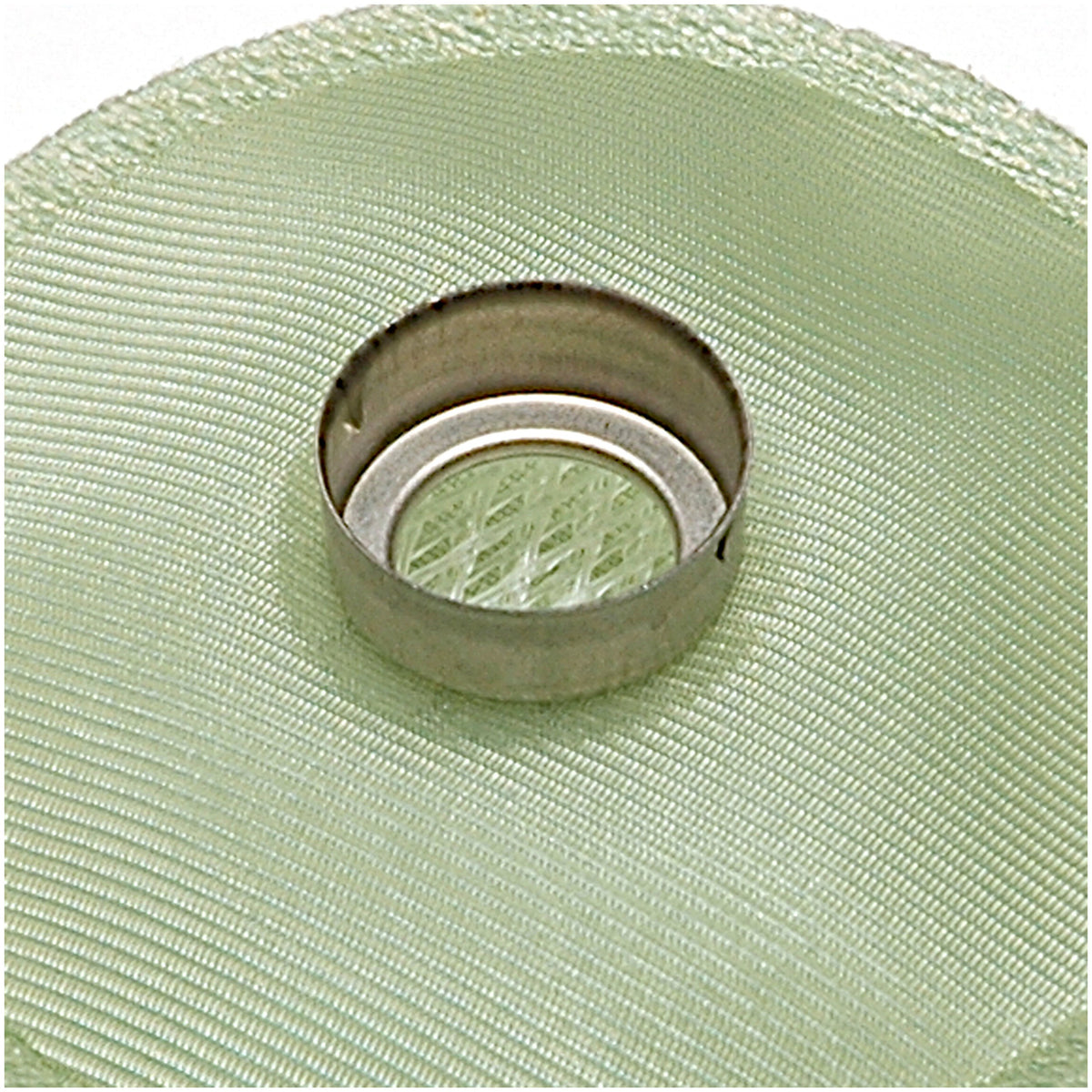 Delphi Fuel Pump Strainer FS0009
