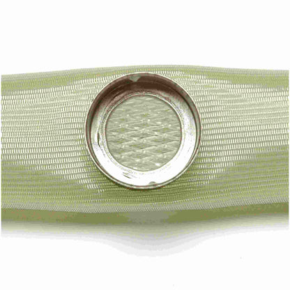 Delphi Fuel Pump Strainer FS0029