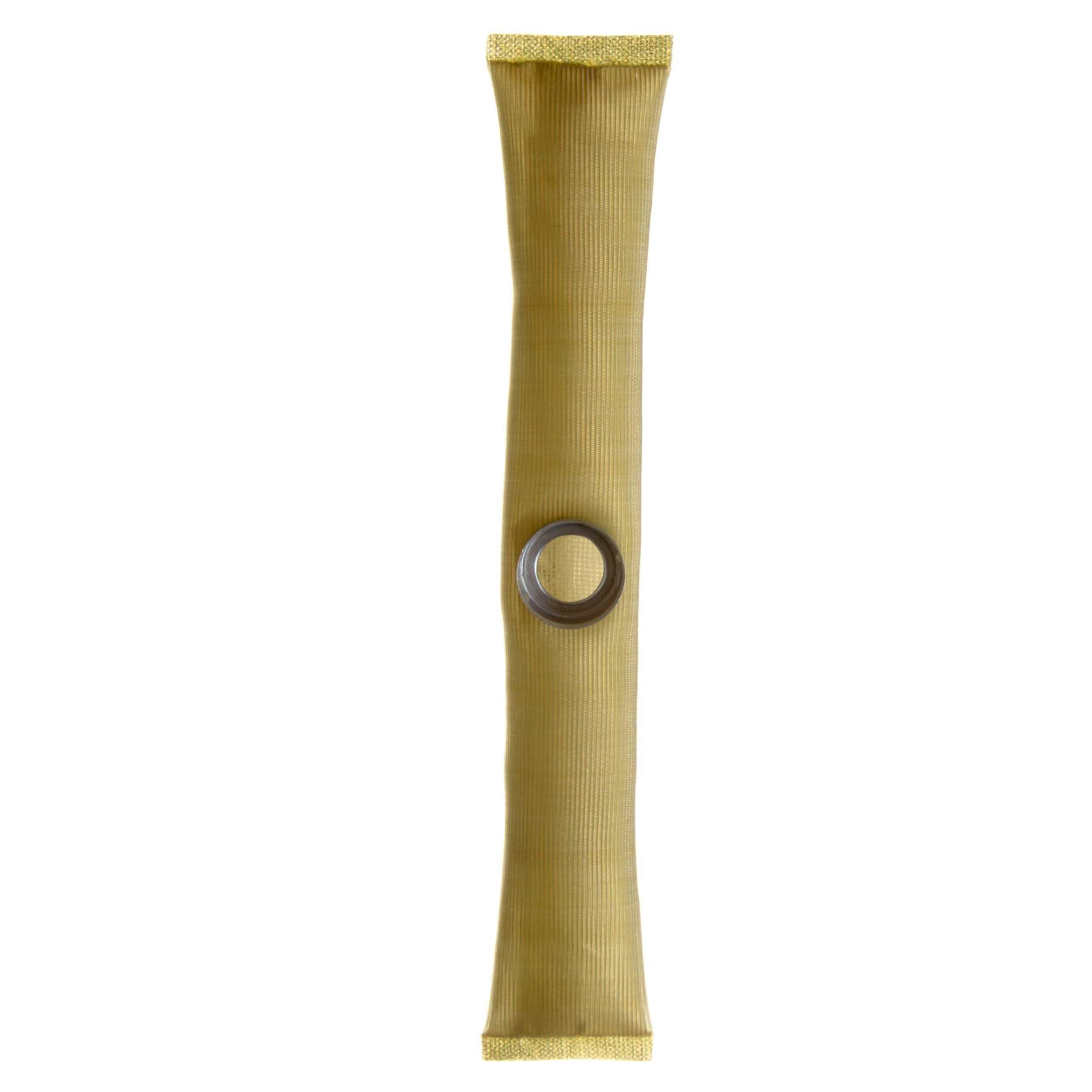Delphi Fuel Pump Strainer FS0034