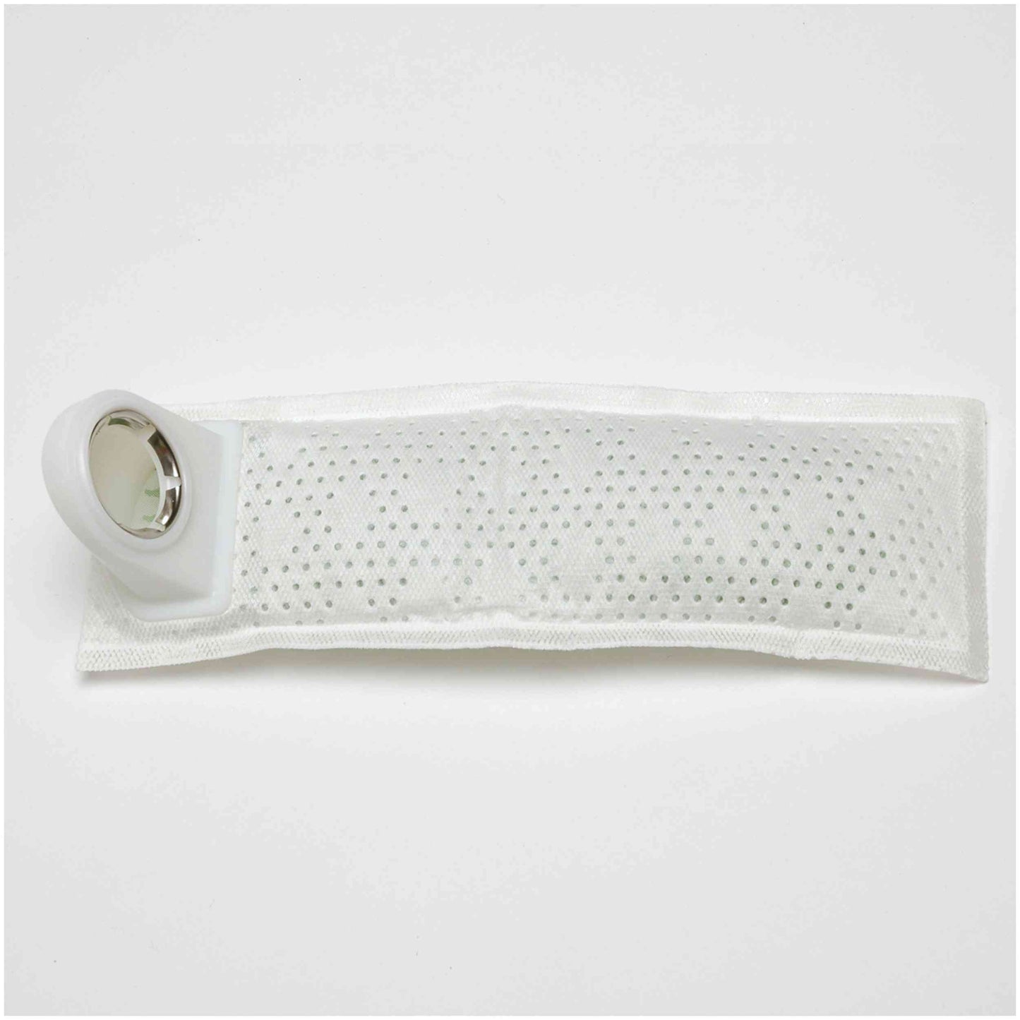 Delphi Fuel Pump Strainer FS0067