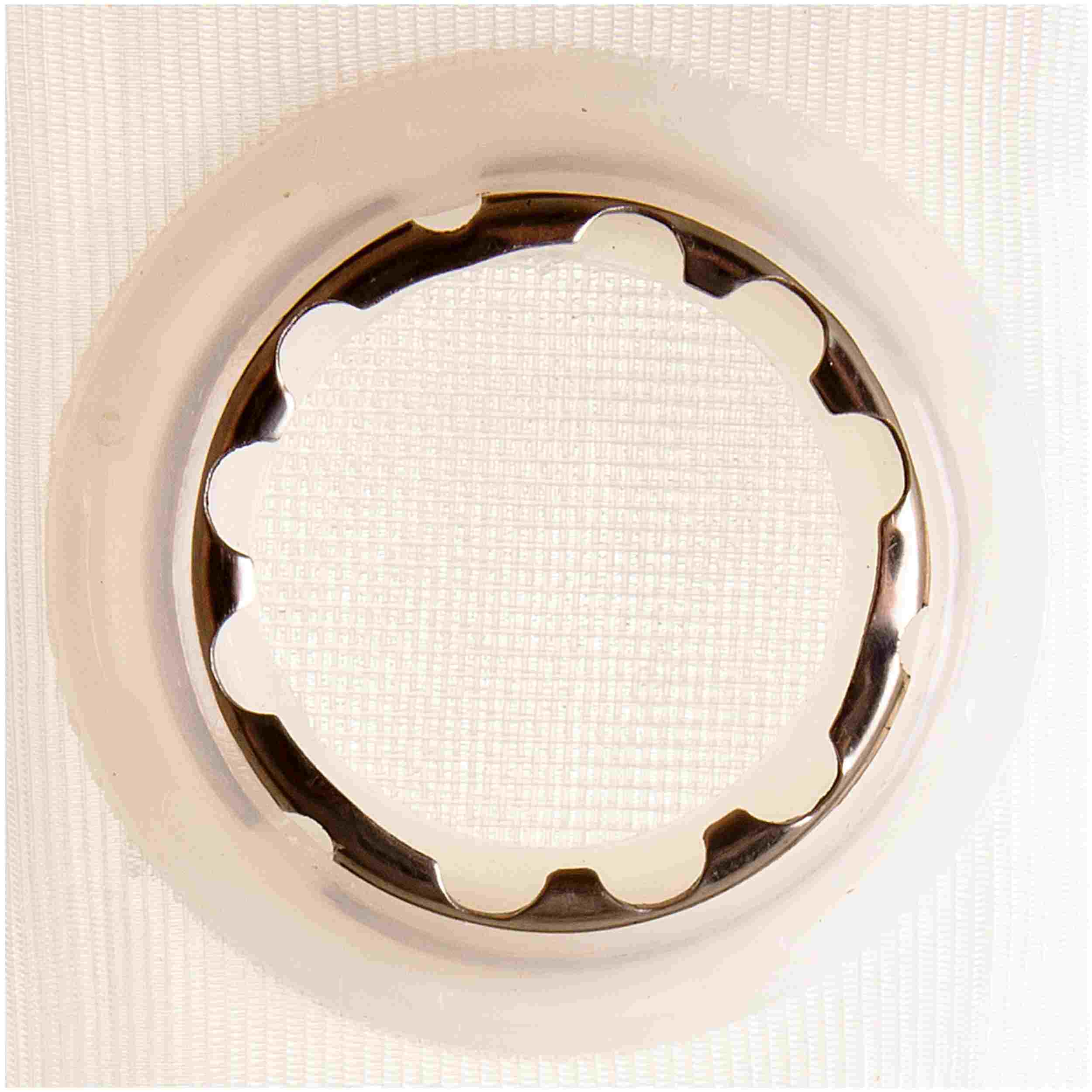 Delphi Fuel Pump Strainer FS0070