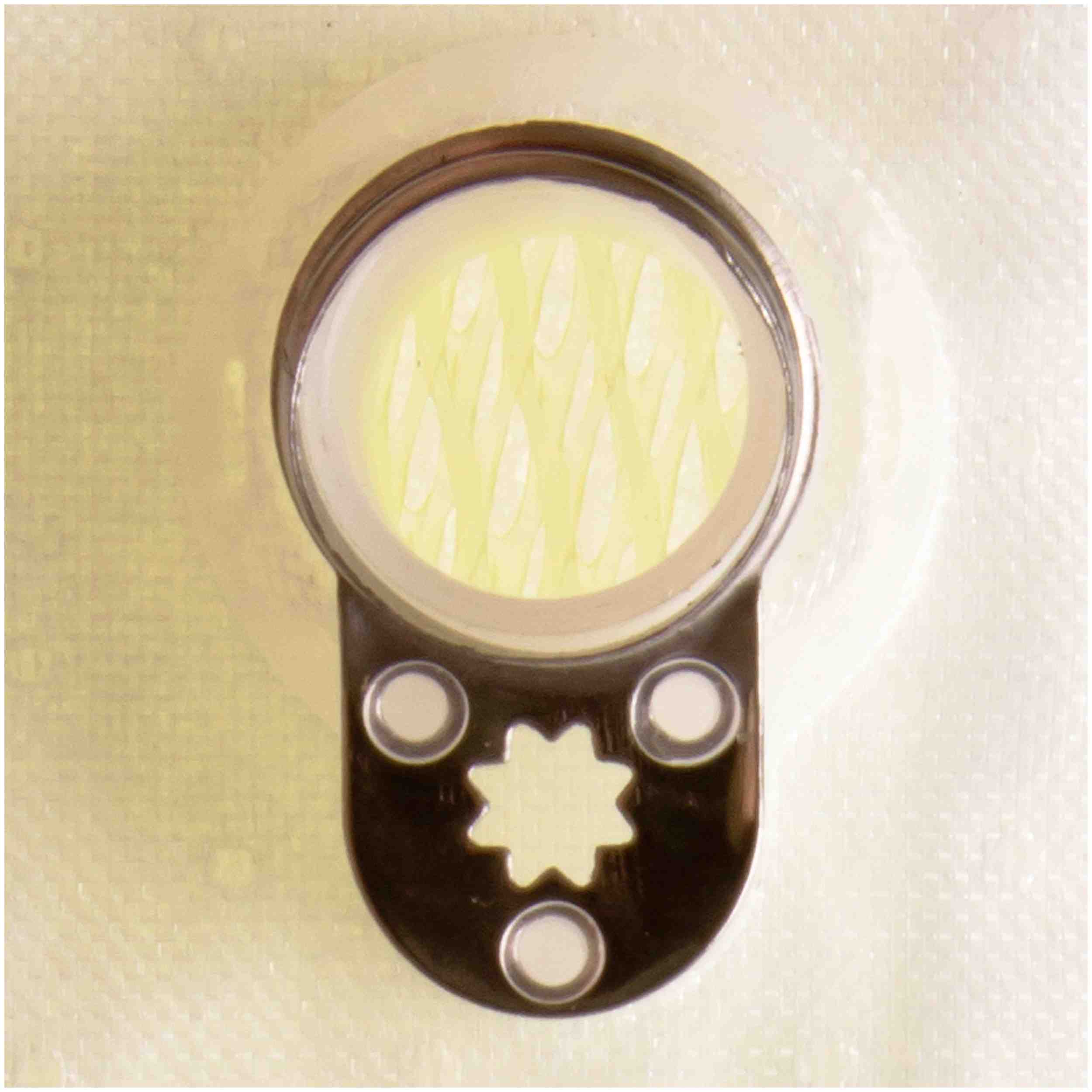 Delphi Fuel Pump Strainer FS0110