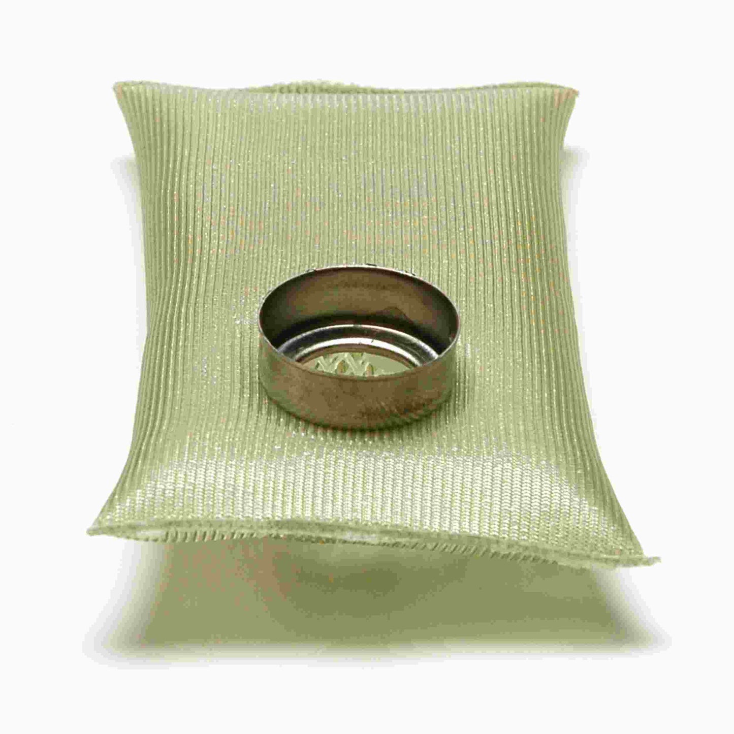 Delphi Fuel Pump Strainer FS0136