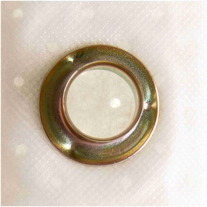 Delphi Fuel Pump Strainer FS0176