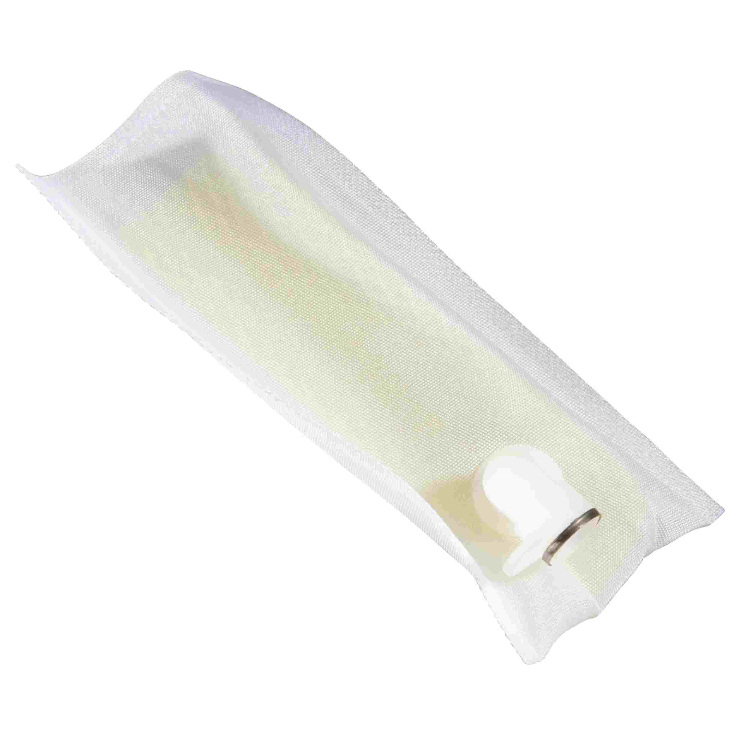 Delphi Fuel Pump Strainer FS0197