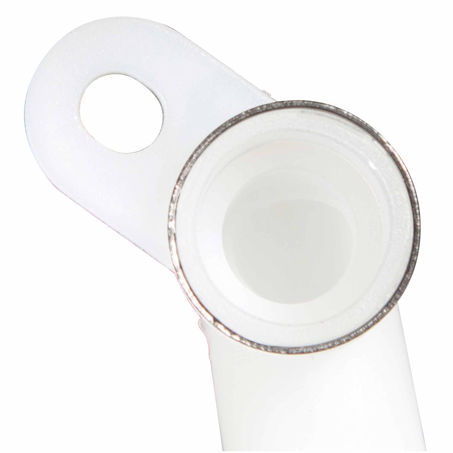 Delphi Fuel Pump Strainer FS0197