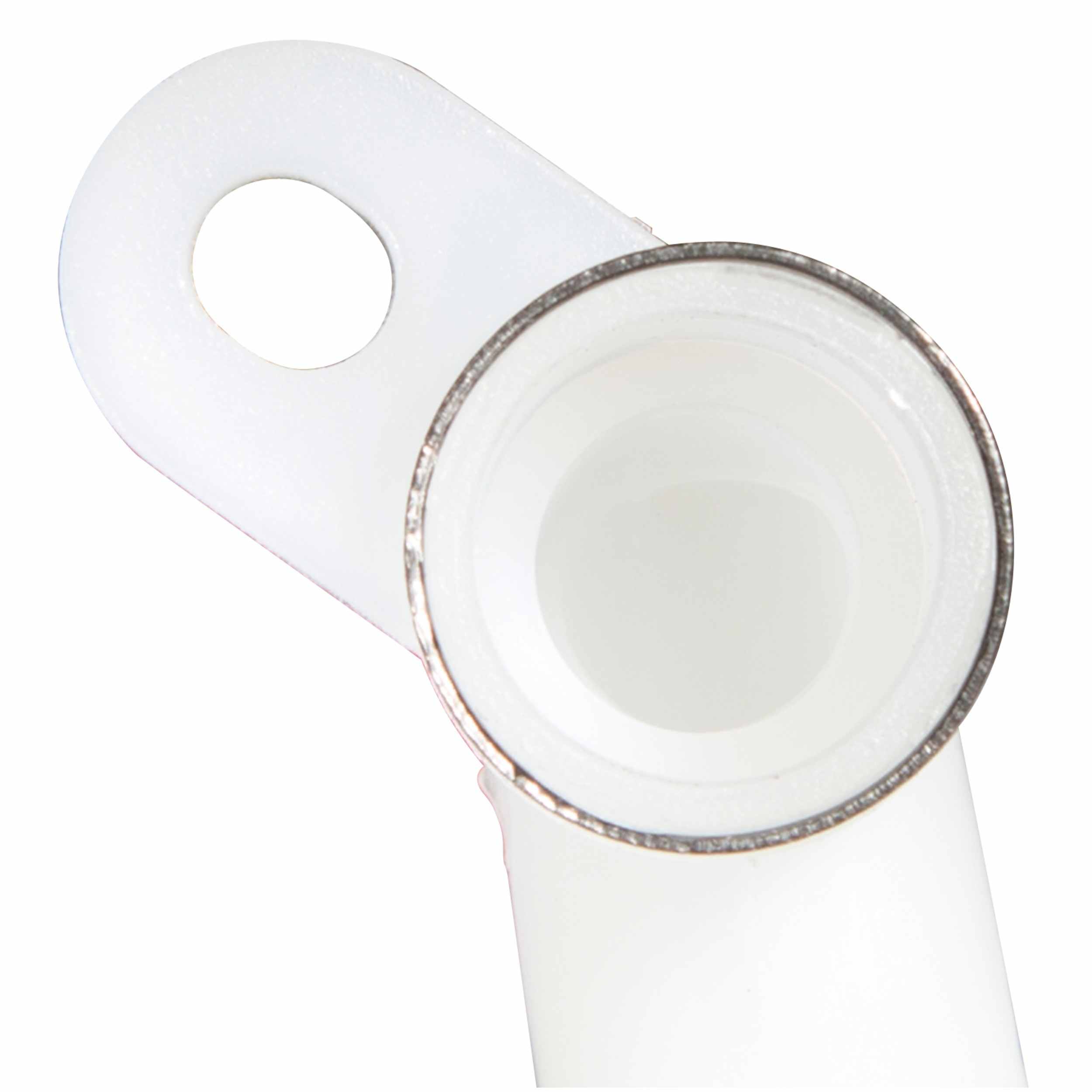 Delphi Fuel Pump Strainer FS0197