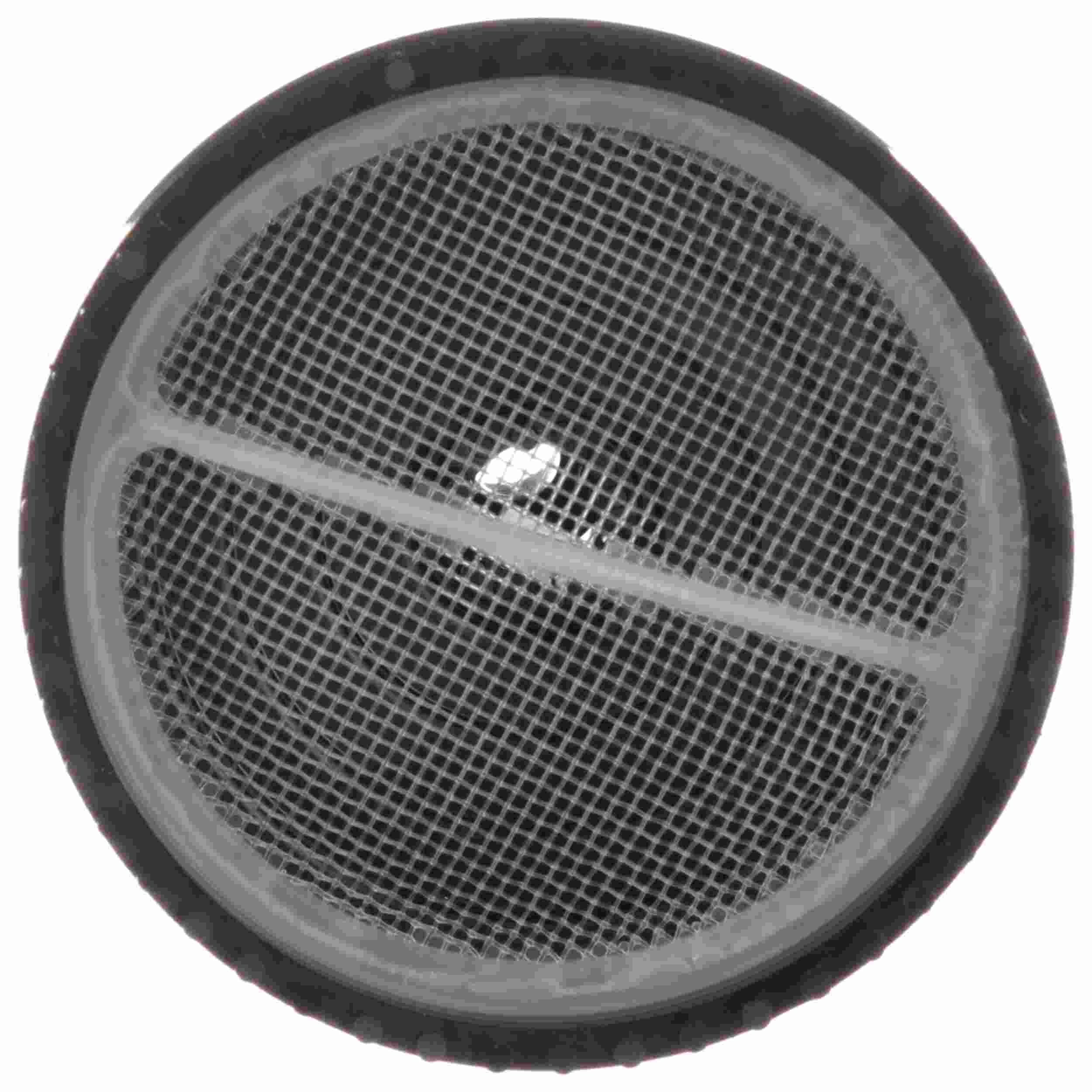 Delphi Fuel Pump Strainer FS0204