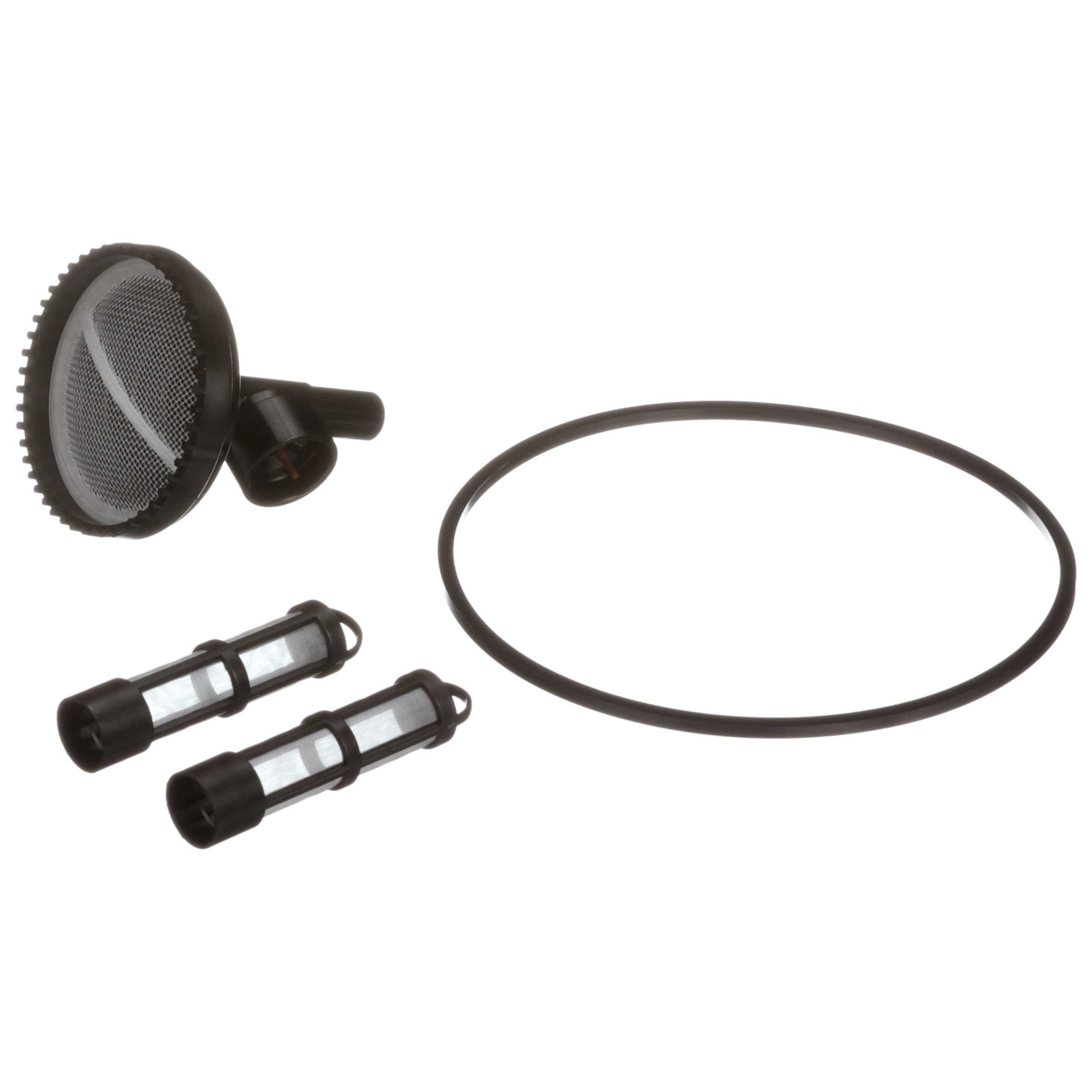 Delphi Fuel Pump Strainer FS0204