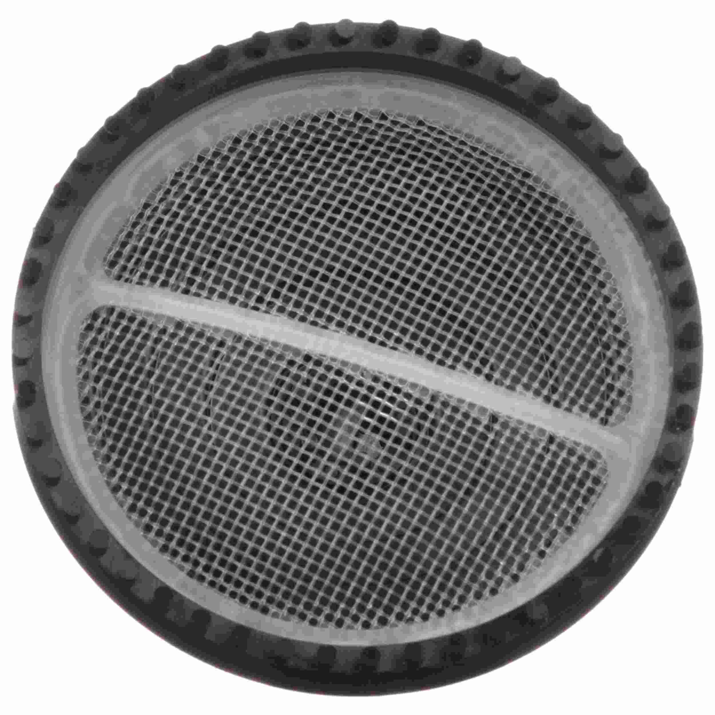 Delphi Fuel Pump Strainer FS0204