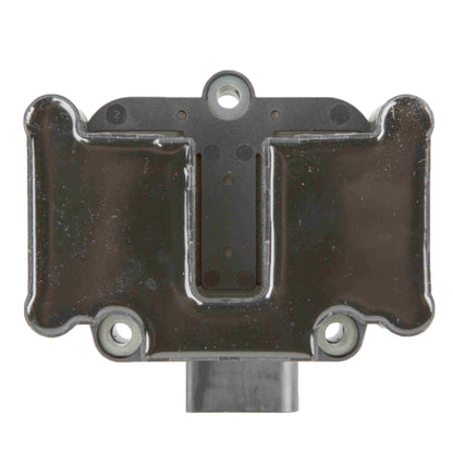 Delphi Ignition Coil GN10018