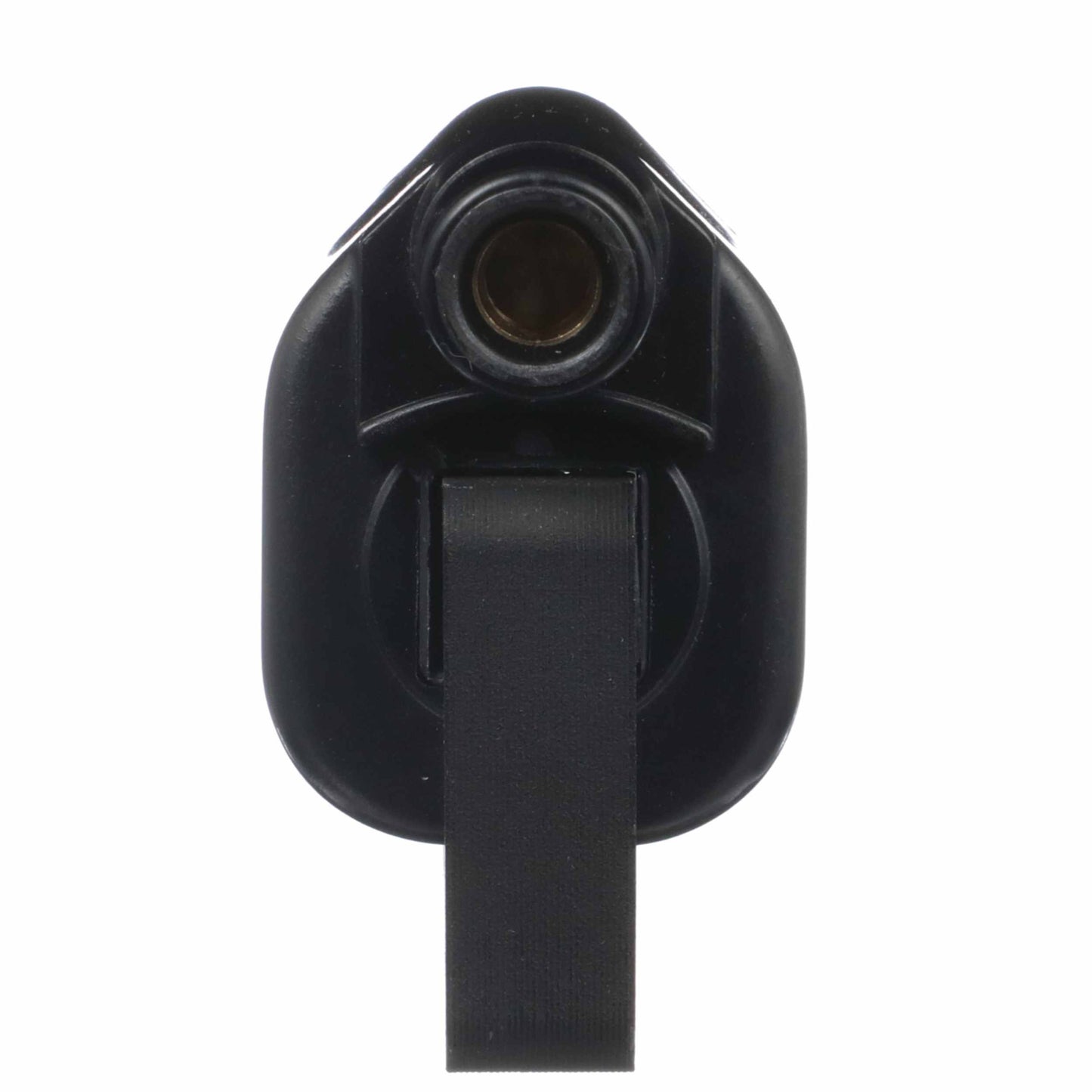 Delphi Ignition Coil GN10024