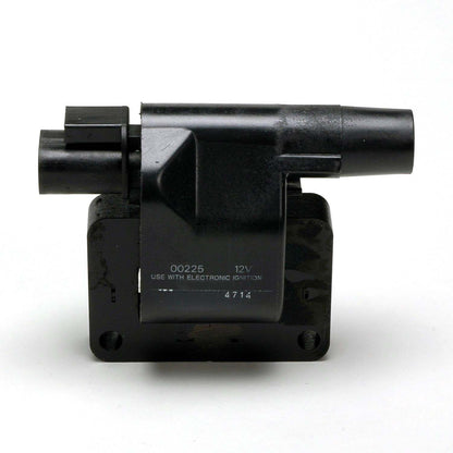 Delphi Ignition Coil GN10024