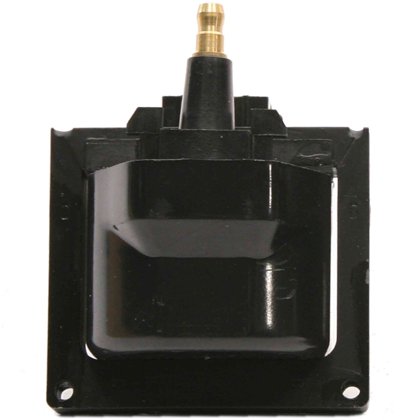 Delphi Ignition Coil GN10048