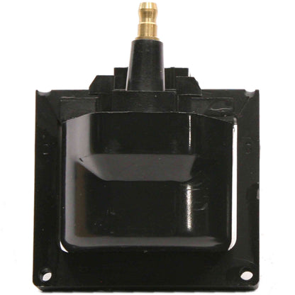 Delphi Ignition Coil GN10048
