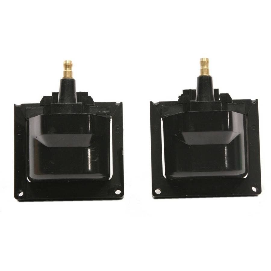 Delphi Ignition Coil GN10048