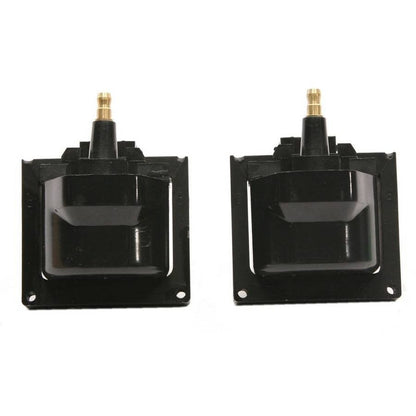 Delphi Ignition Coil GN10048