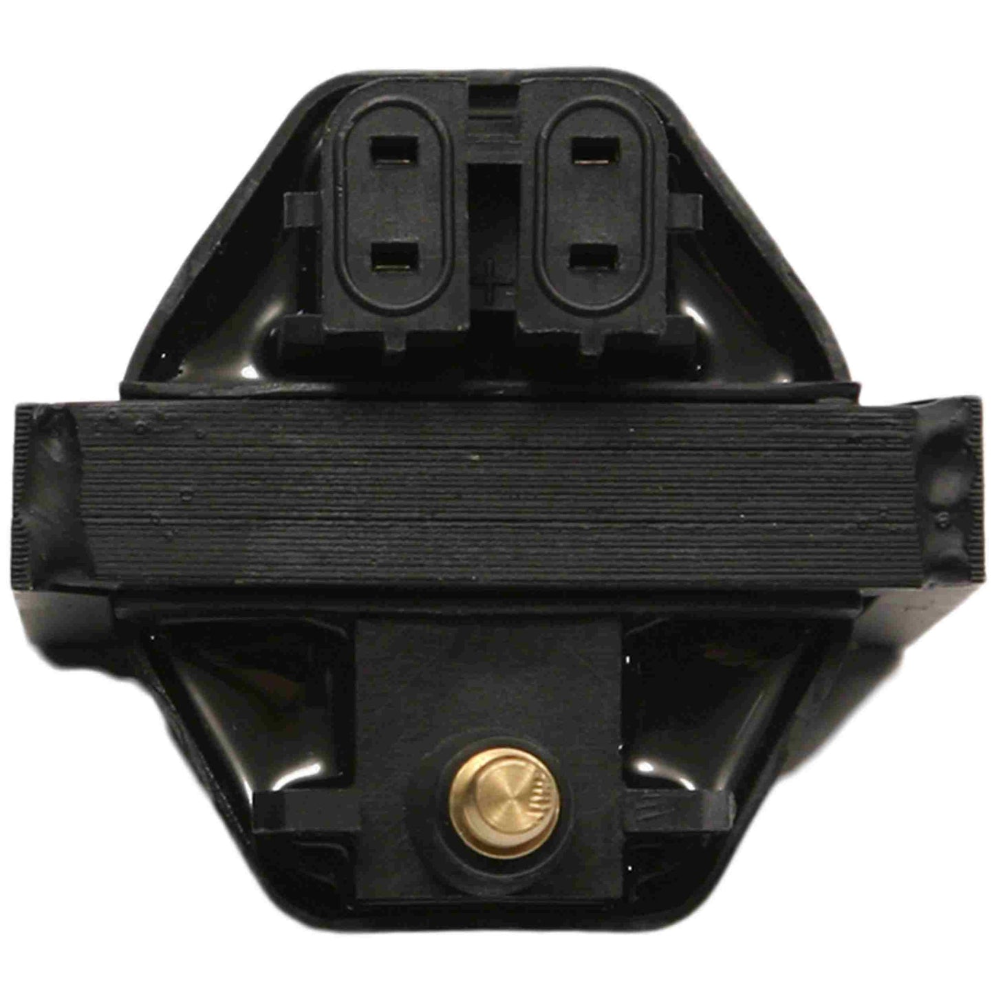 Delphi Ignition Coil GN10048
