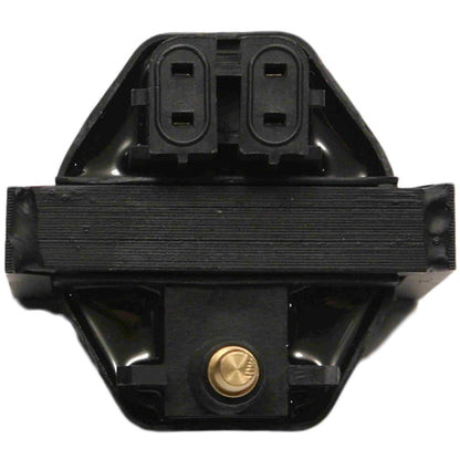 Delphi Ignition Coil GN10048