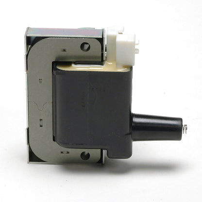 Delphi Ignition Coil GN10068