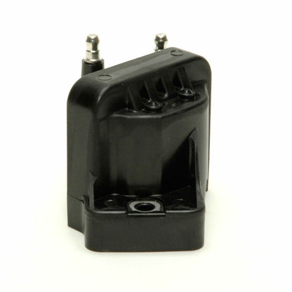 Delphi Ignition Coil GN10123