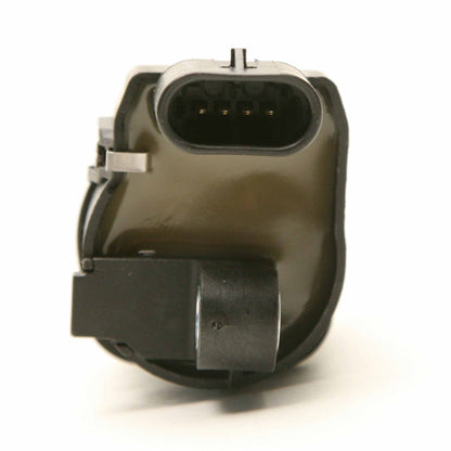 Delphi Ignition Coil GN10165