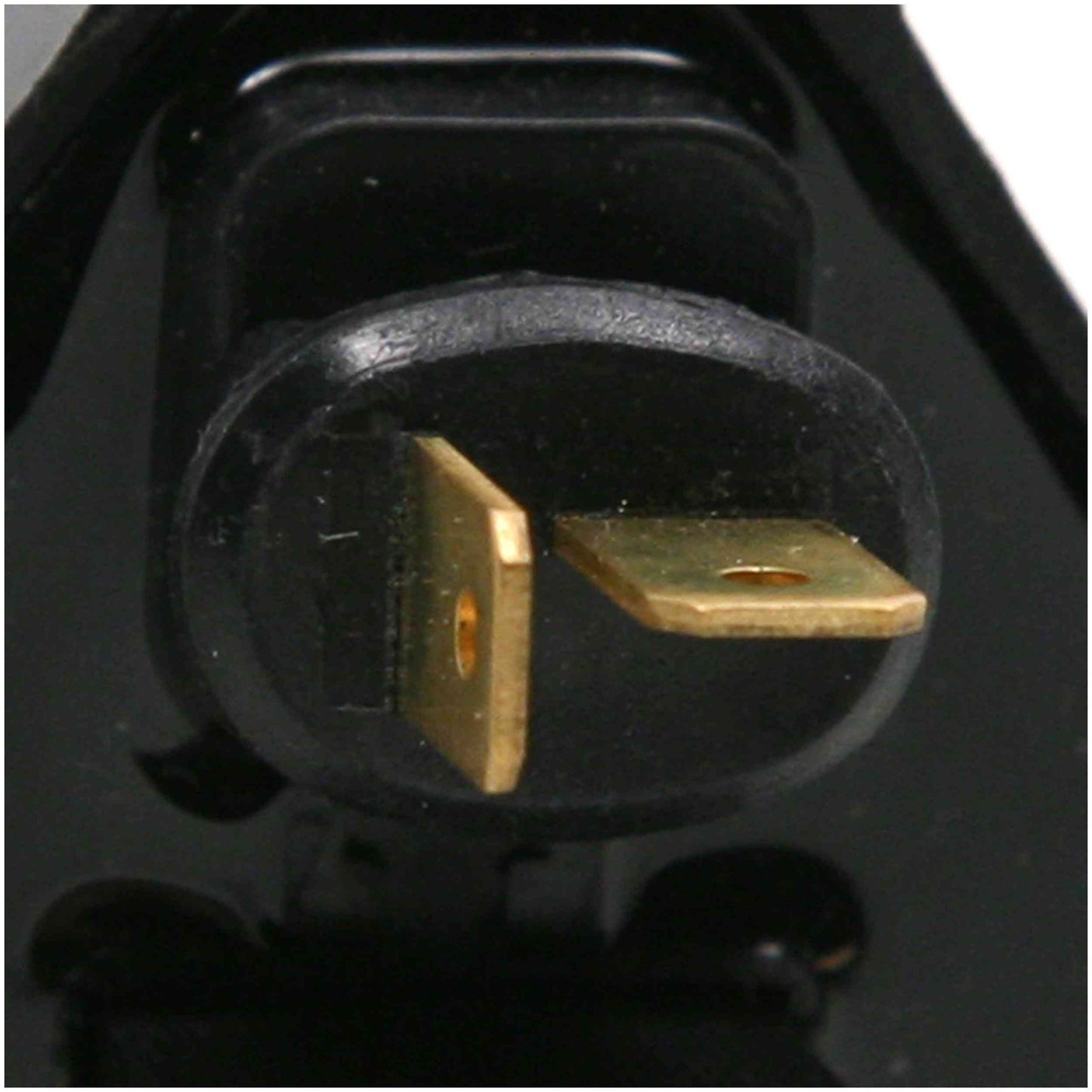 Delphi Ignition Coil GN10170