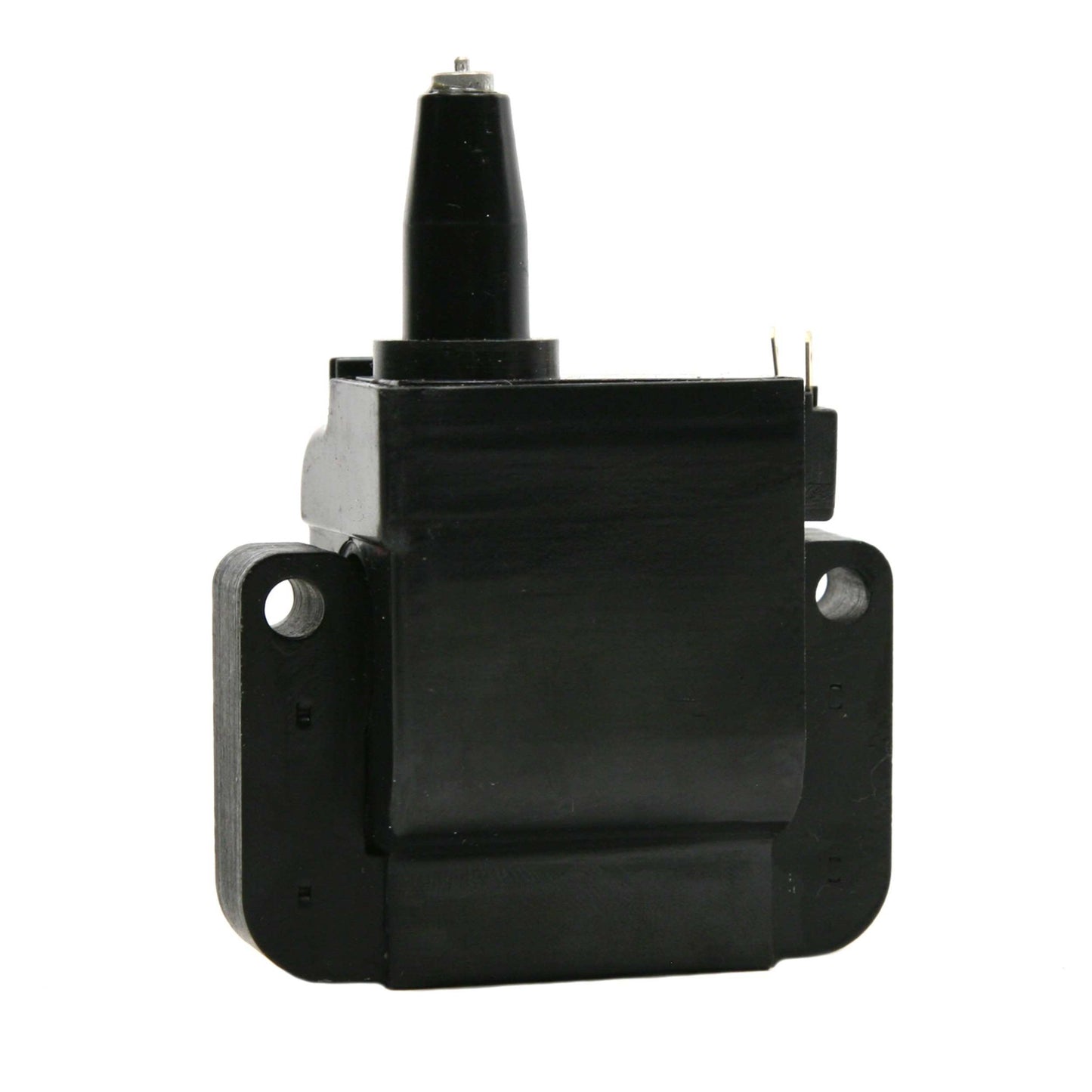 Delphi Ignition Coil GN10171