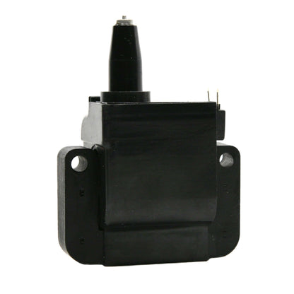 Delphi Ignition Coil GN10171