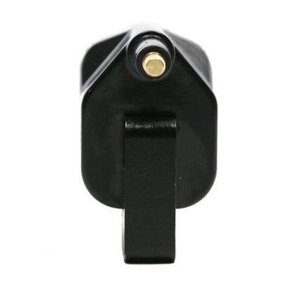 Delphi Ignition Coil GN10172