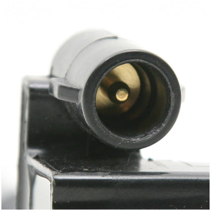 Delphi Ignition Coil GN10184