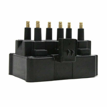Delphi Ignition Coil GN10186