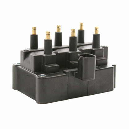 Delphi Ignition Coil GN10213