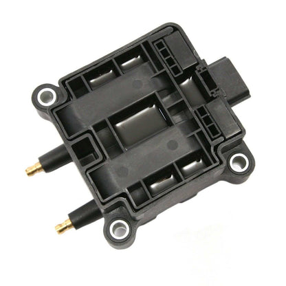 Delphi Ignition Coil GN10220