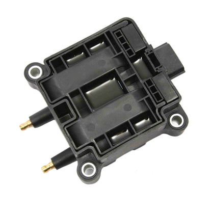 Delphi Ignition Coil GN10220
