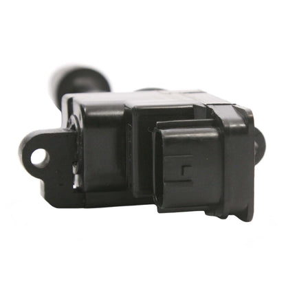 Delphi Ignition Coil GN10224