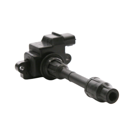 Delphi Ignition Coil GN10225